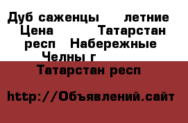 Дуб саженцы 1-3 летние › Цена ­ 100 - Татарстан респ., Набережные Челны г.  »    . Татарстан респ.